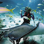 scuba-diving-samara