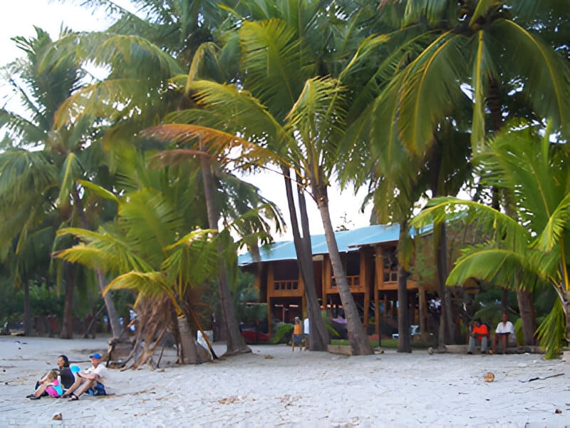 A person sitting on the beach near some palm trees