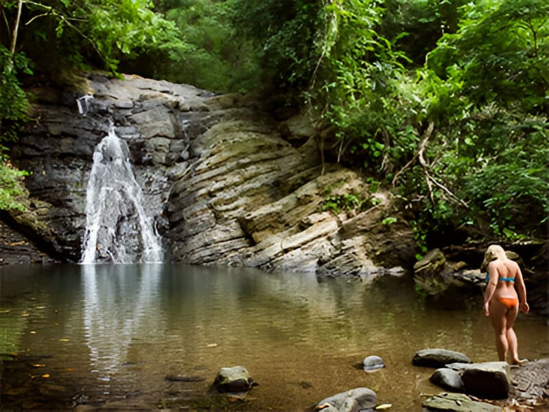 A waterfall in the middle of a forest.