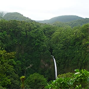 A waterfall in the middle of a lush green forest.