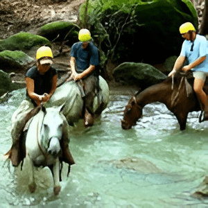 Three people riding horses through a river.