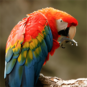 A colorful parrot sitting on top of a tree branch.